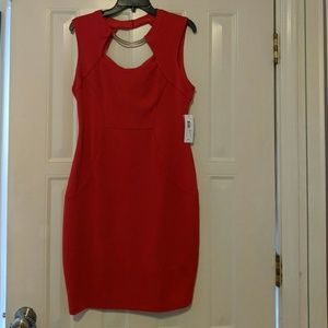 Bisou Bisou Red Dress